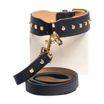 Berlin Collar & Lead Set (Navy)