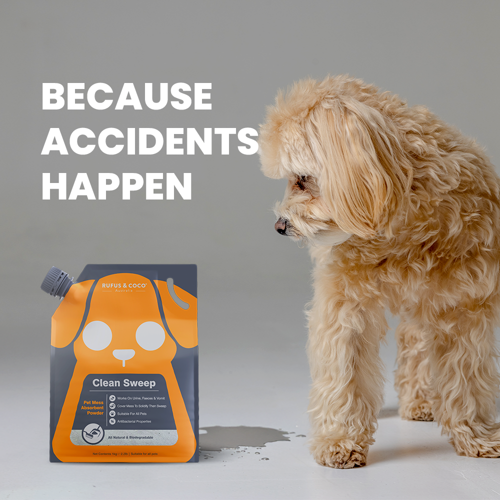 Rufus & Coco Clean Sweep Absorbent Powder