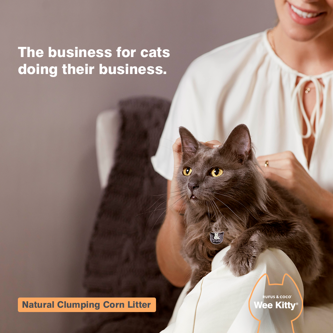 Dog ate clumping clearance cat litter