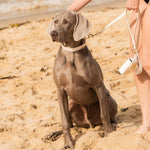 Balmain Leather Lead - Rufus & Coco Australia