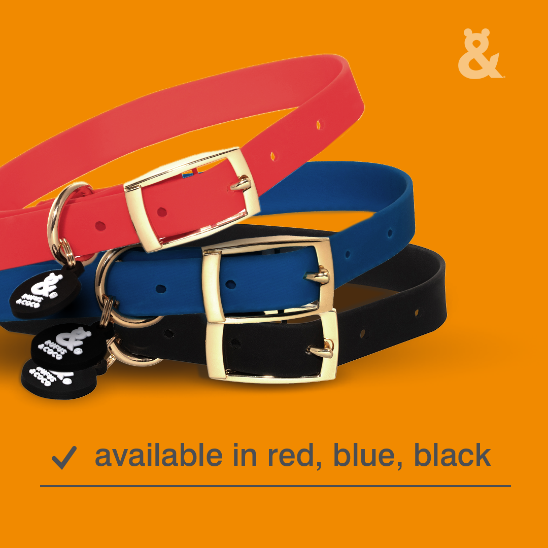 Duramax Collar - Rufus & Coco Australia