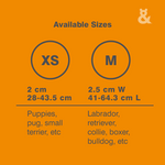 Duramax Collar - Rufus & Coco Australia