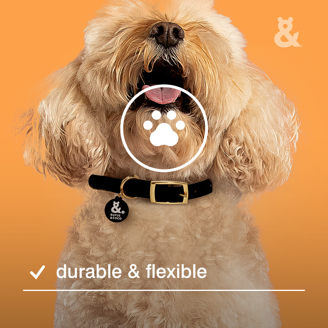 Duramax Collar - Rufus & Coco Australia