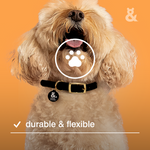 Duramax Collar - Rufus & Coco Australia