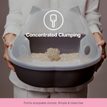 Wee Kitty Clumping Corn Kitten Litter 4kg