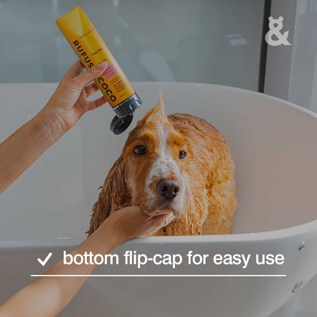 Can you use dog flea clearance shampoo on humans for lice