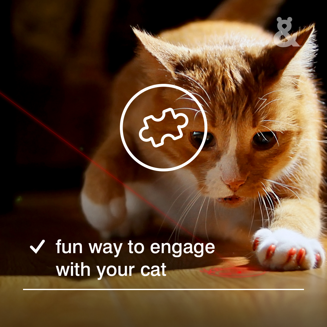 Laser Mouse Toy - Rufus & Coco Australia