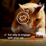 Laser Mouse Toy - Rufus & Coco Australia