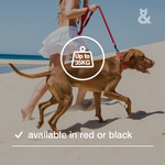 Shock Ease Lead - Rufus & Coco Australia