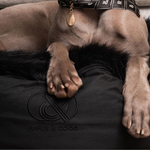 Double Bay Deluxe Bed - Rufus & Coco Australia