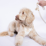 Balmain Leather Lead - Rufus & Coco Australia