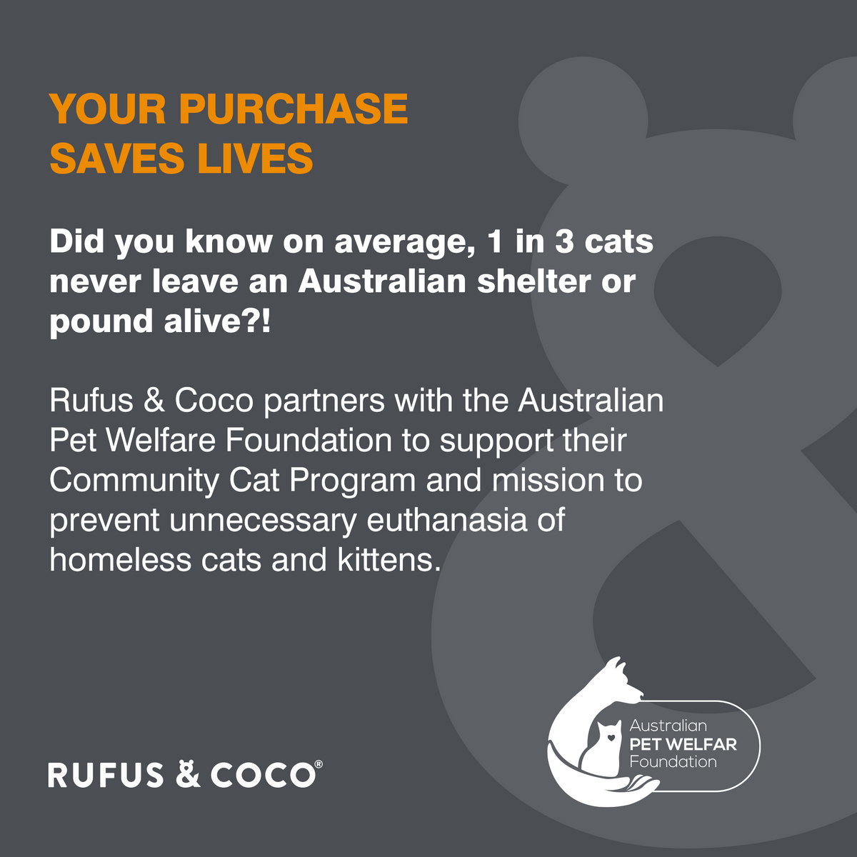 Zero Odour Natural Litter 3.7kg - Rufus & Coco Australia