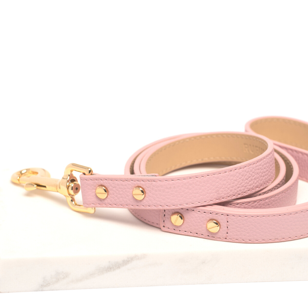 Rufus & Coco's Berlin Rose leather dog lead is made from quality leather. Each lead is finished with premium gold hardware and studs for style and durability. Suitable for dogs of all sizes, this 100% leather dog lead is 120cm long.