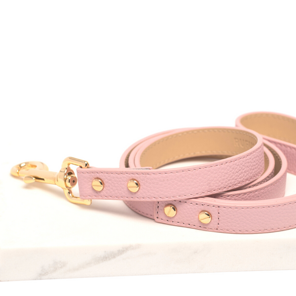 Louis Vuitton Dog Collars -  Australia