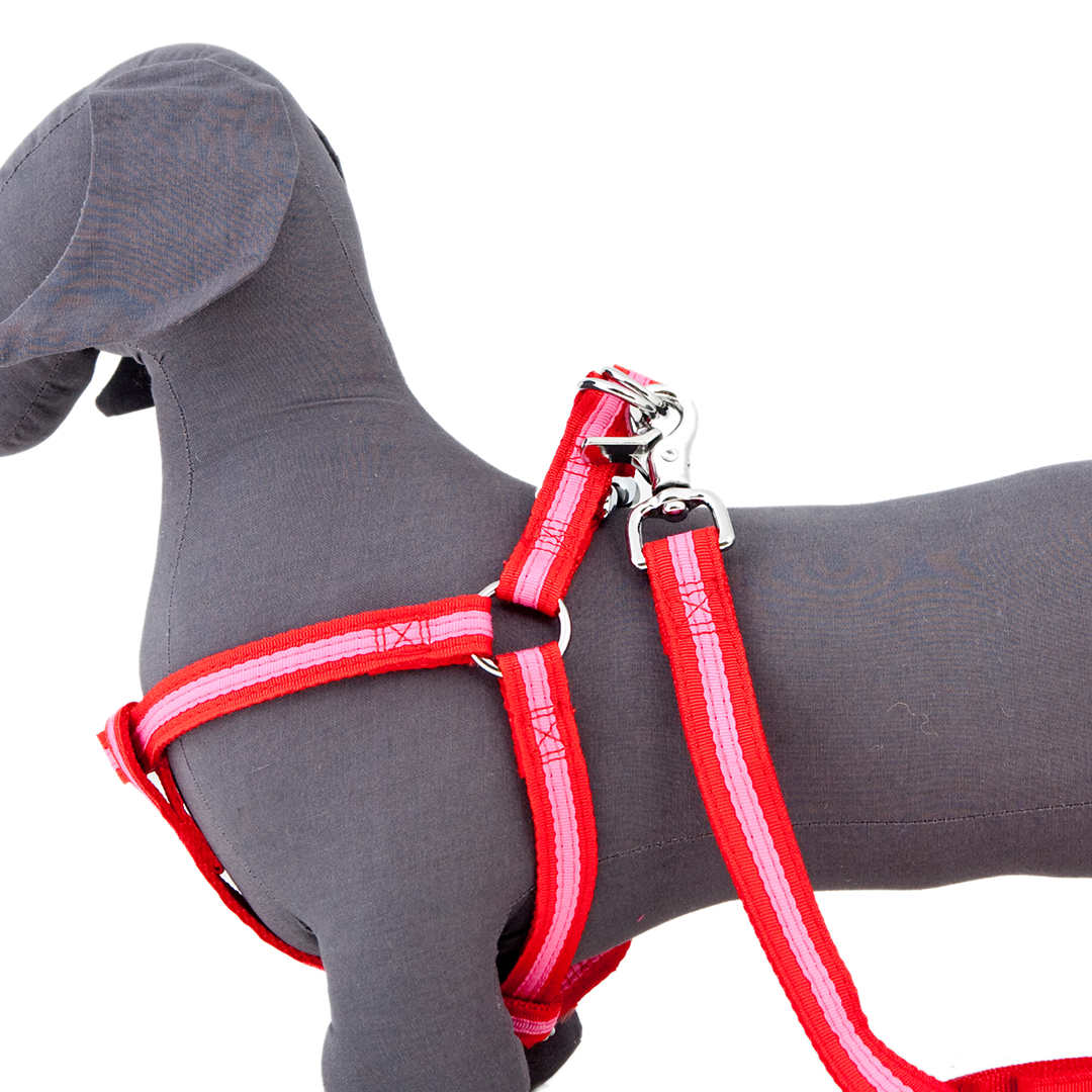 The Bronte Dog Harness is designed to fit comfortably and securely around your dog's shoulders and chest. It prevents pressure around your dog's neck and makes walking a lot more comfortable. Available in two sizes and 3 colours - red, navy and leopard print. 