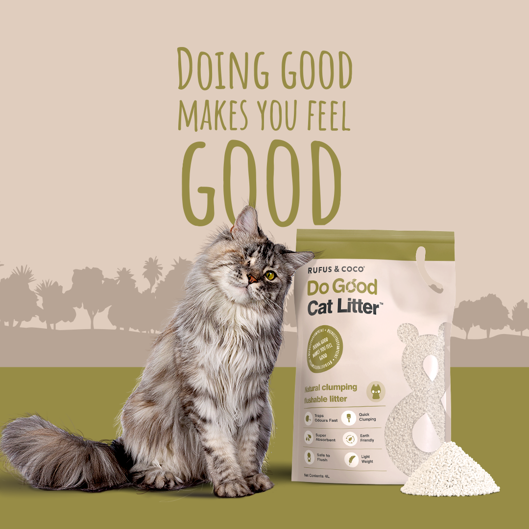 10 Cat Breeds Purrfect for Cold Weather– Rufus & Coco Australia