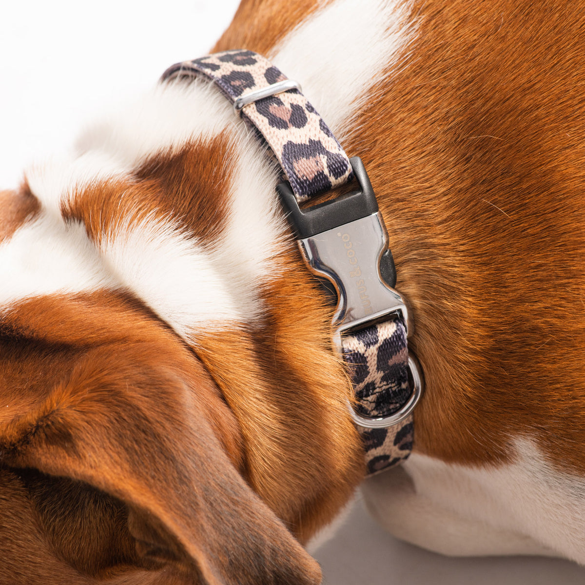Our best selling premium striped nylon dog collar. Comes with a signature Rufus and Coco silver etched clip. Availabe in 4 colours and 2 sizes. To ensure that you have the correct collar size, measure your dog's neck and allow one finger space between the collar and your dog's neck.
